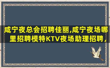 衡水夜场招聘